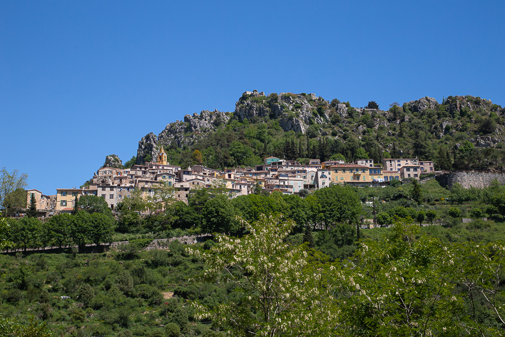 225692632_Saint-Agns.jpg.d49196ebfc2f4b5886464608f78e94e5.jpg