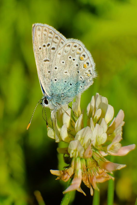 VHA08279.jpg