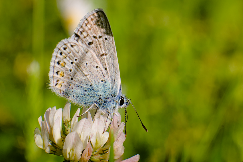 VHA08281.jpg