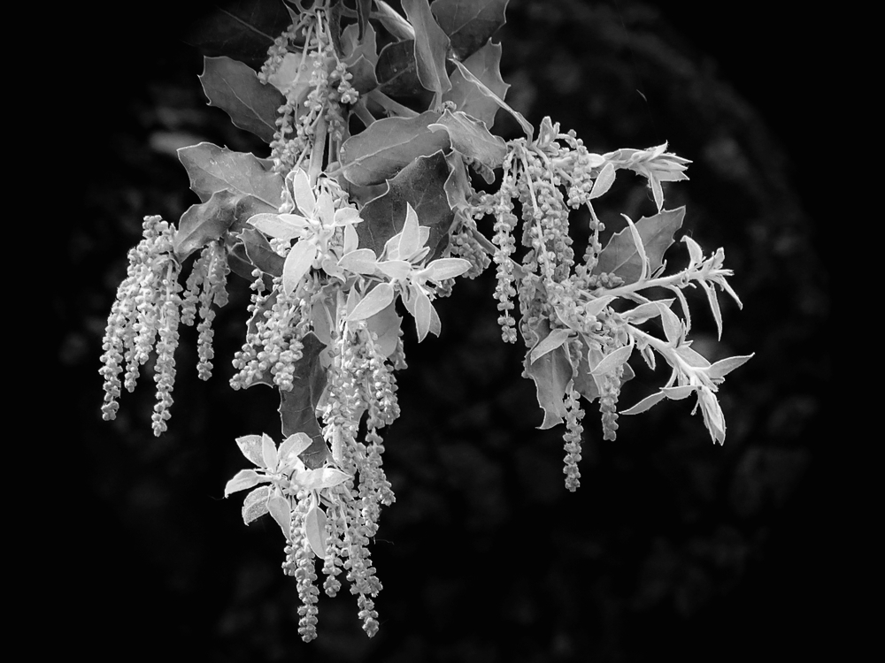 forumDSC02744.jpg