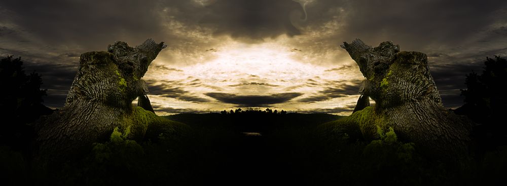 showSun-2.jpg.2da132e3664ee9be0227940432f84c1b.jpg