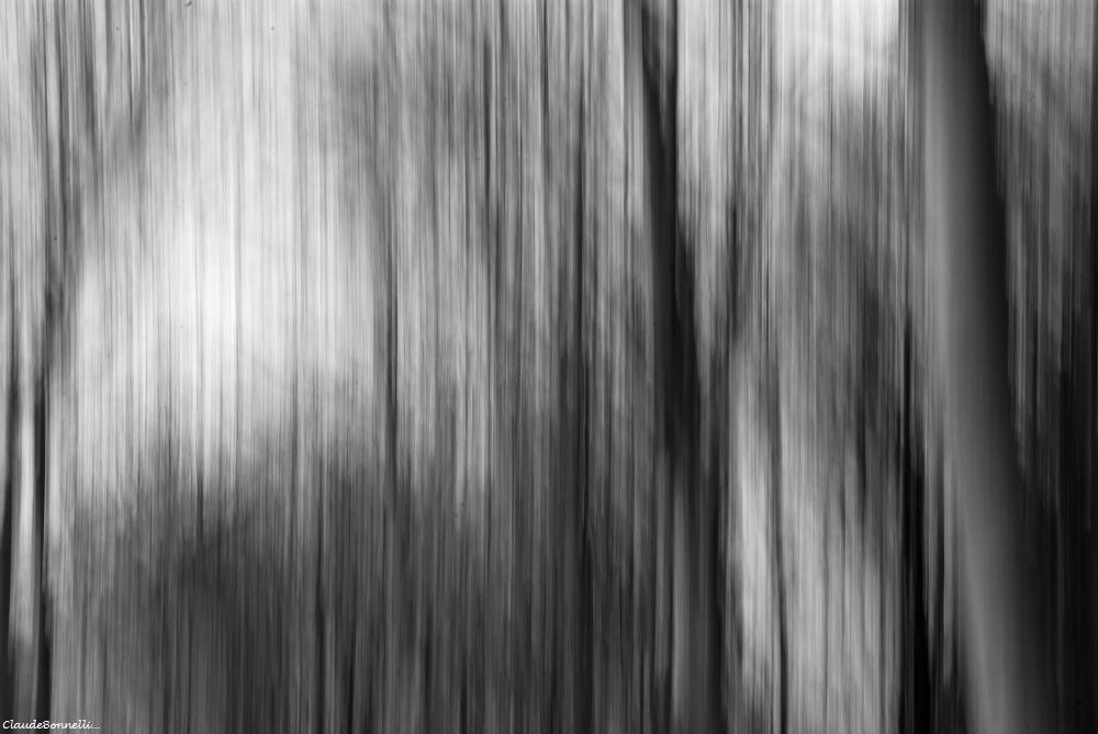1-9679.jpg.ad373f88b0ec048467213c6a60dc6a47.jpg