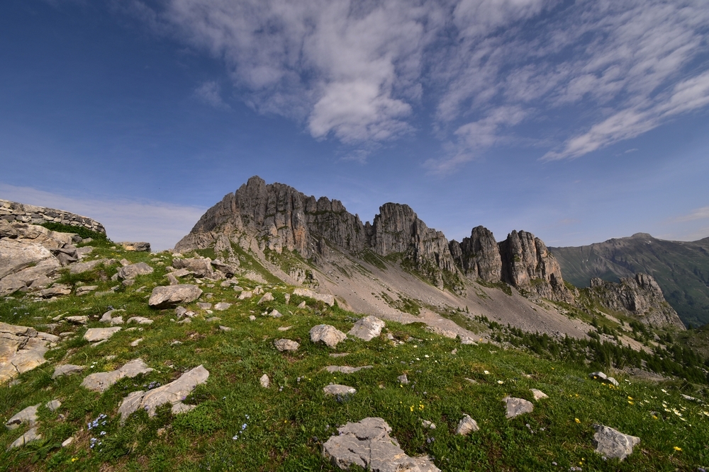 1084517280_Lesaiguilles10mm.JPG.b22d99235277a0eed4957aa4e903f214.JPG