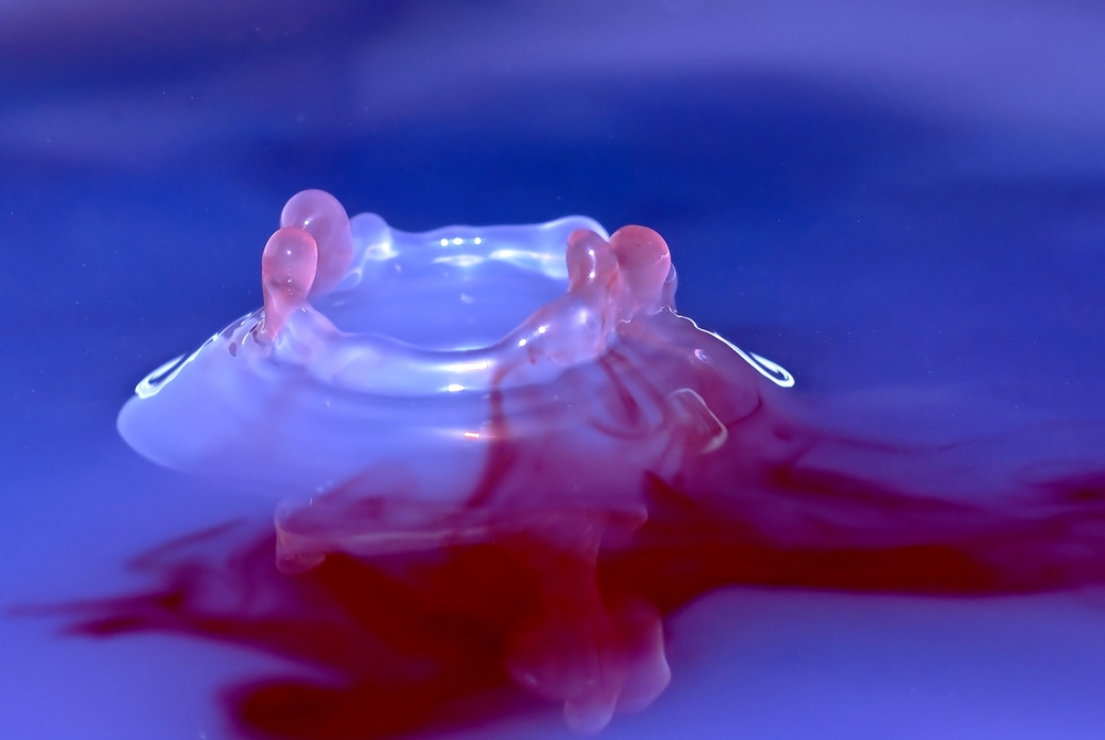 1777339413_goutte6908.jpg.aadba8a56ae2bf5a73f6aadd04e27d36.jpg