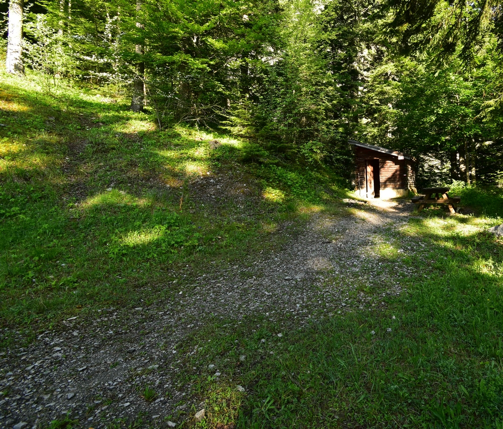 349657628_Enbois.jpg.31317597149e6a79b878c9e37757b392.jpg