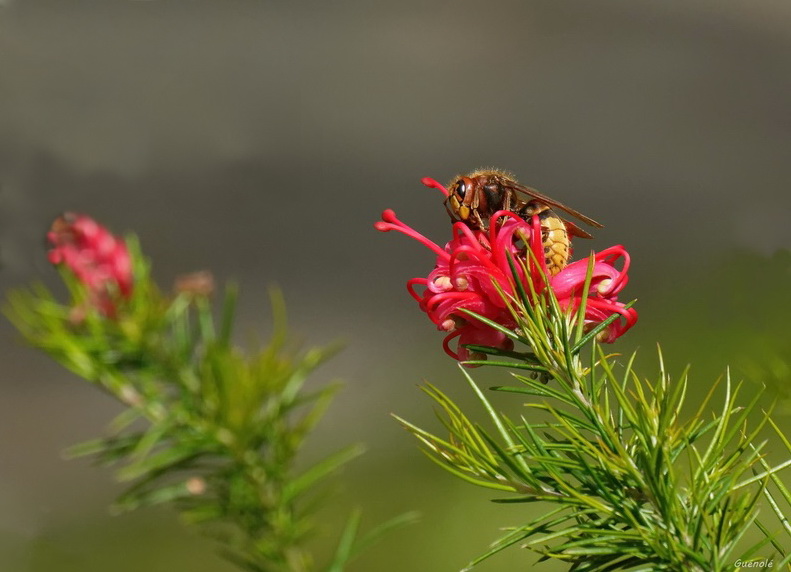 522989532_Leretour1_DxO1000300.jpg.eab6aca283f9a8547bcbeb0af1c1351a.jpg