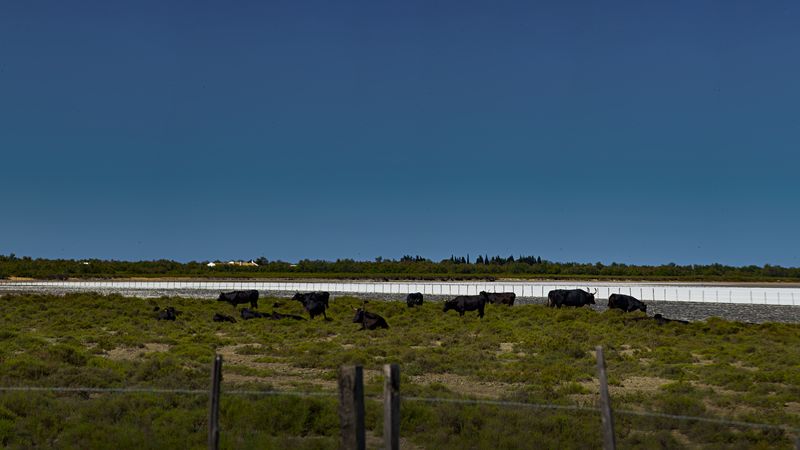 800283589_Panoramasanstitre1.jpg.dbbb62a302c6b75c037b3b8161311991.jpg