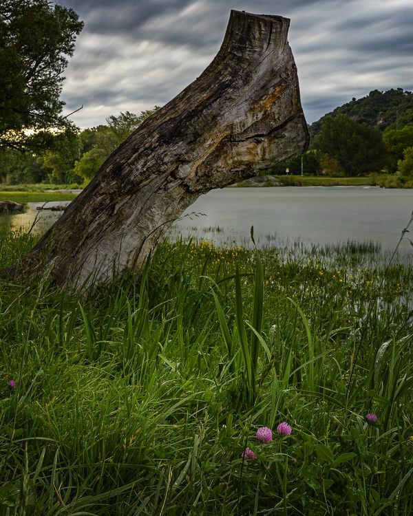 DSC03650-1.jpg.9d6121600adc4628f0d648ab8c3fe91c.jpg