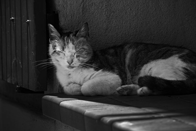 DSC03858.jpg.8314c2d51a2413bd3e3baacf7b92ea03.jpg