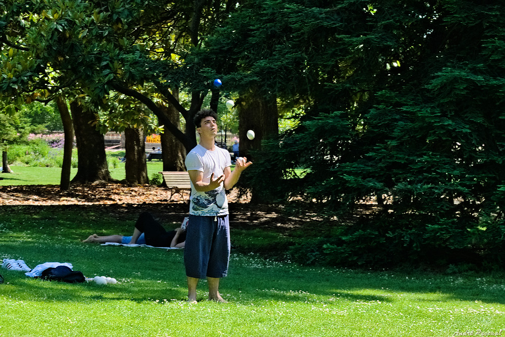 Jongleur_1A_1000.jpg.b0627e0111fd4cf7df75c28367de8313.jpg