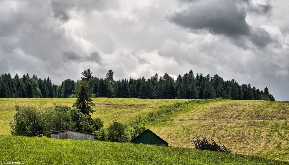 beauce-2.jpg.2c8f97c6db4193377d6496dcbbc67049.jpg