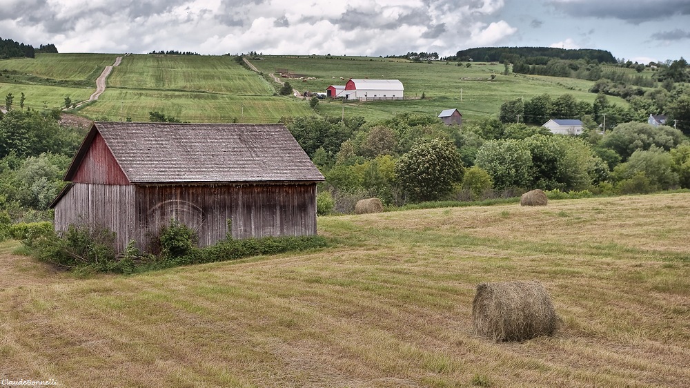 beauce.jpg.2e233fc531ba1c40001560c499b3da3d.jpg