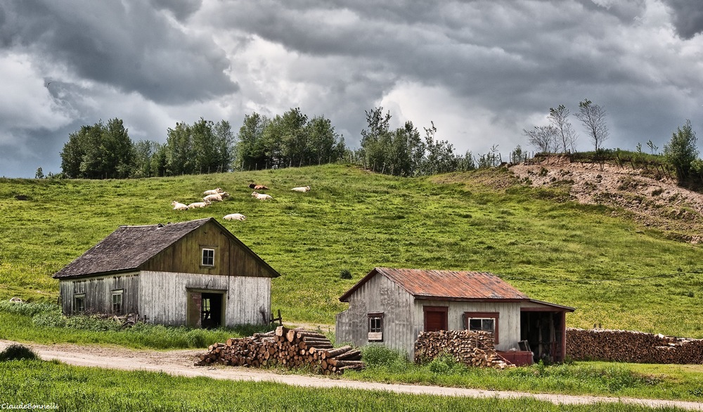 beauce.jpg.fa41e9c75970b7e9d12c5f3abd6a6b5d.jpg