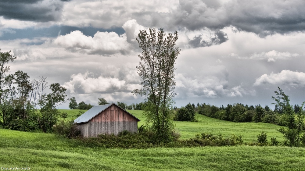 cabane.jpg.f944e44c67ec287432458877143f956f.jpg
