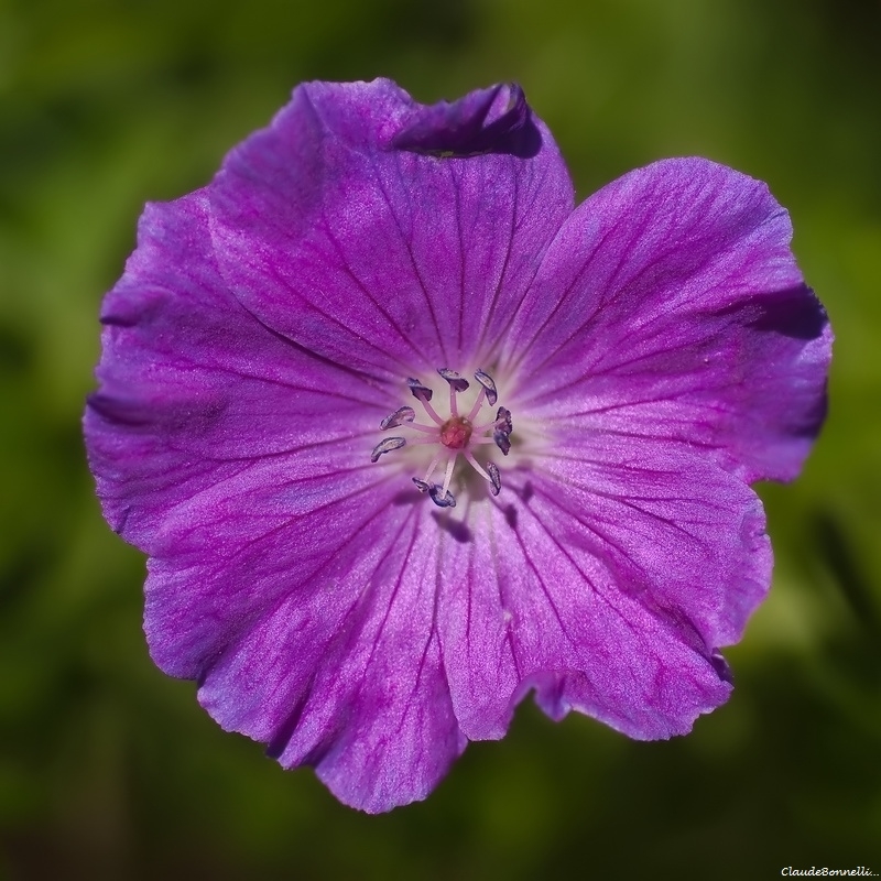 1-9.jpg.ba1dbf25a353b0b324cd9d39e5a6e535.jpg