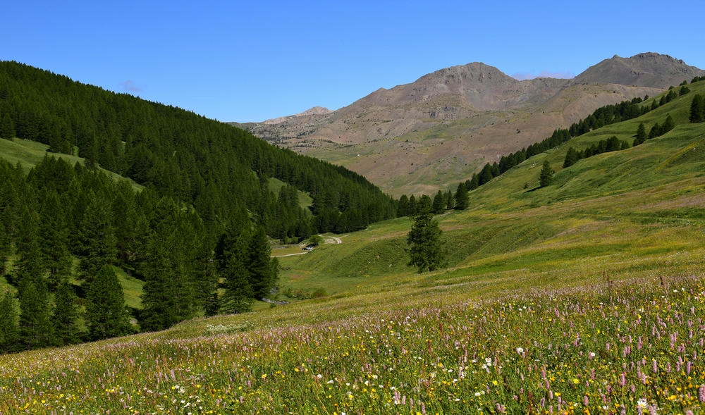 1788856939_LesFonts(4).JPG.08c6234003a094197327c00108717679.JPG