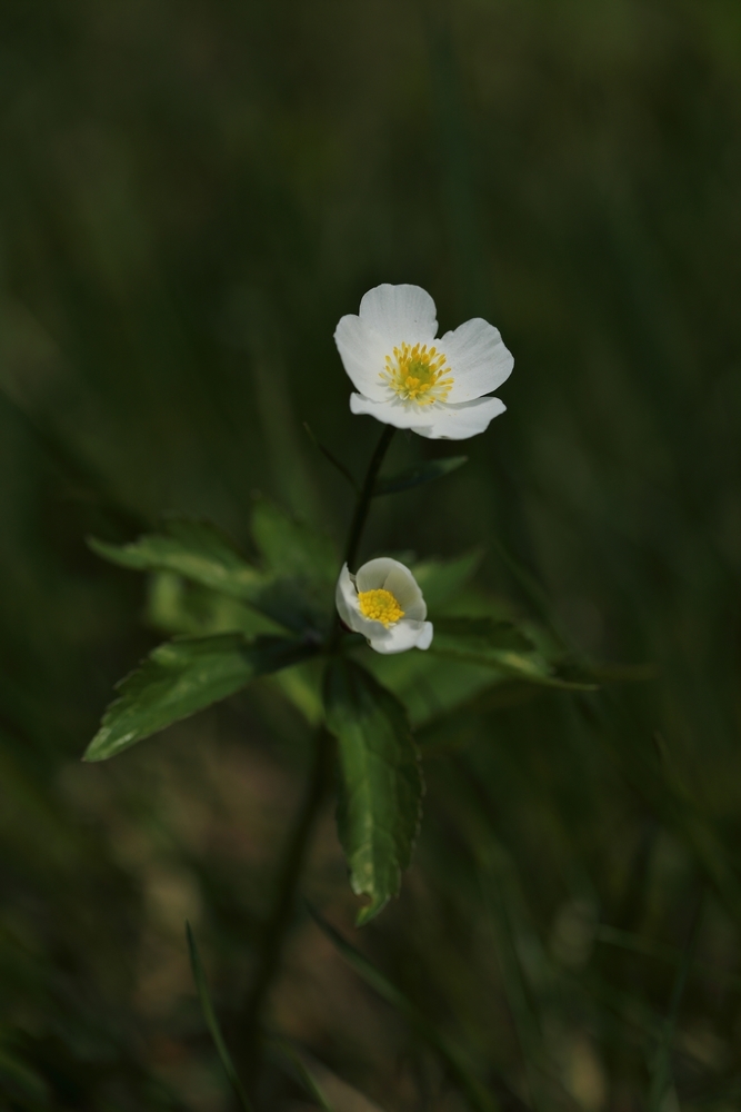 2G6A9319.JPG.f19b4c351cf90c266e0d46a6ccc32174.JPG