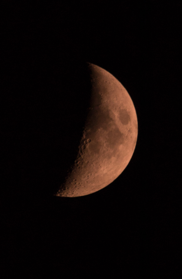 660741973_eclipselune.jpg.dbdcc3829913982979c5471c9add4ce7.jpg