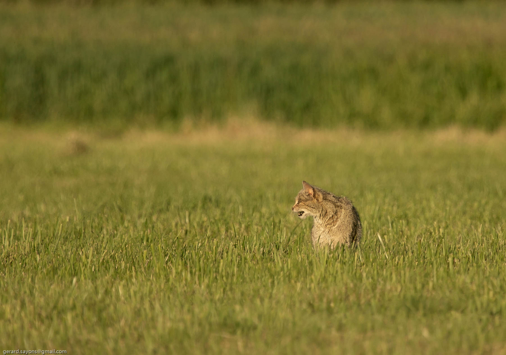 AV4R0454.jpg