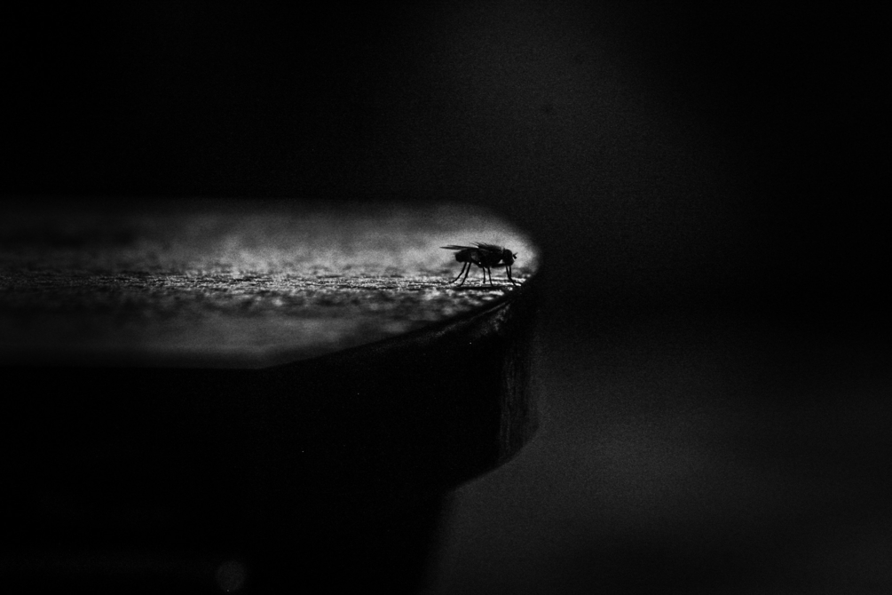 C5714ABD-2D50-4DCD-865A-AEE973F989AC.thumb.jpeg.7dfd21aa864769c546ef81a181e7903a.jpeg