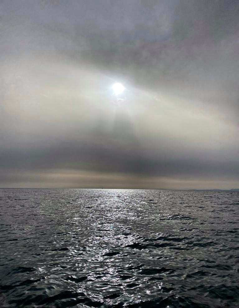 IMG-20210714-WA0000-01.jpeg.4c689057cb4298b3d914f9cb9a2fe4de.jpeg