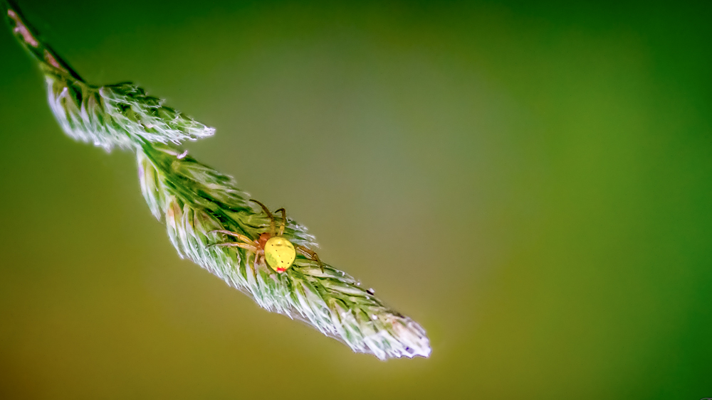 _-4.jpg.526ace04f13311d186703c773952fae6.jpg
