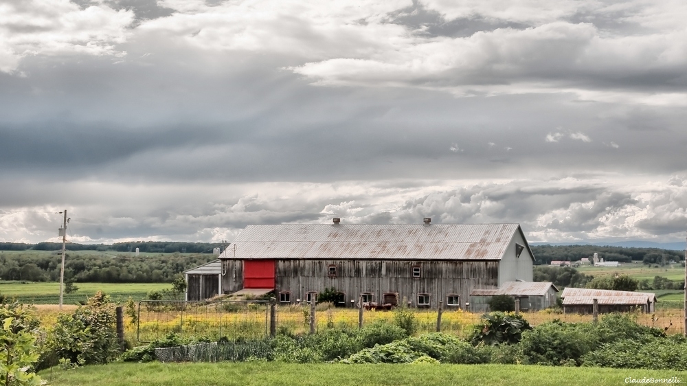 ferme.jpg.57af6c56c704795f3e1918014252536a.jpg