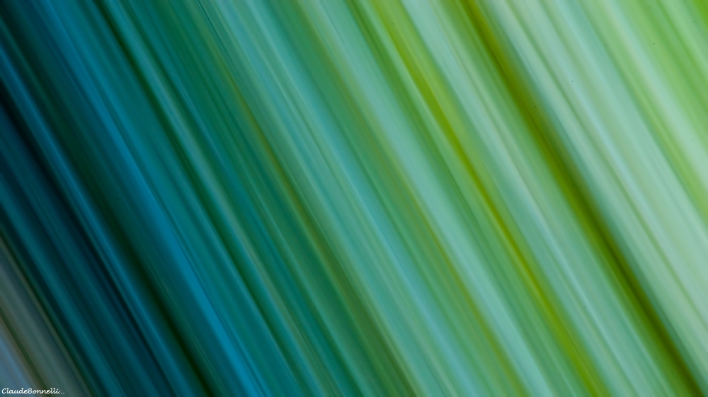 1-4097-2_filtered.jpg.0b7410879b1ef82f4eaf47462a831555.jpg