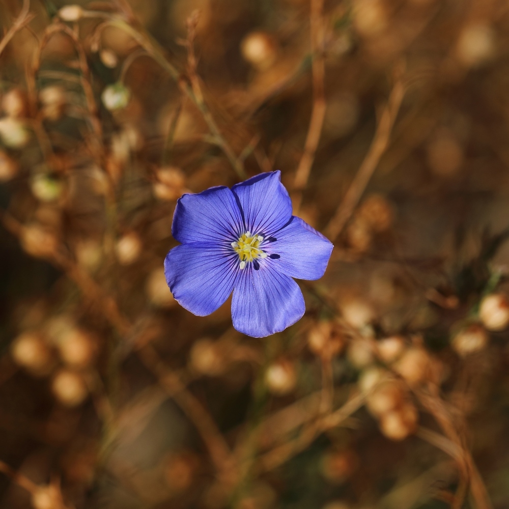 2G6A9427.JPG.239a0cbdfe2f6a9e8ca67a38d4c7f04f.JPG