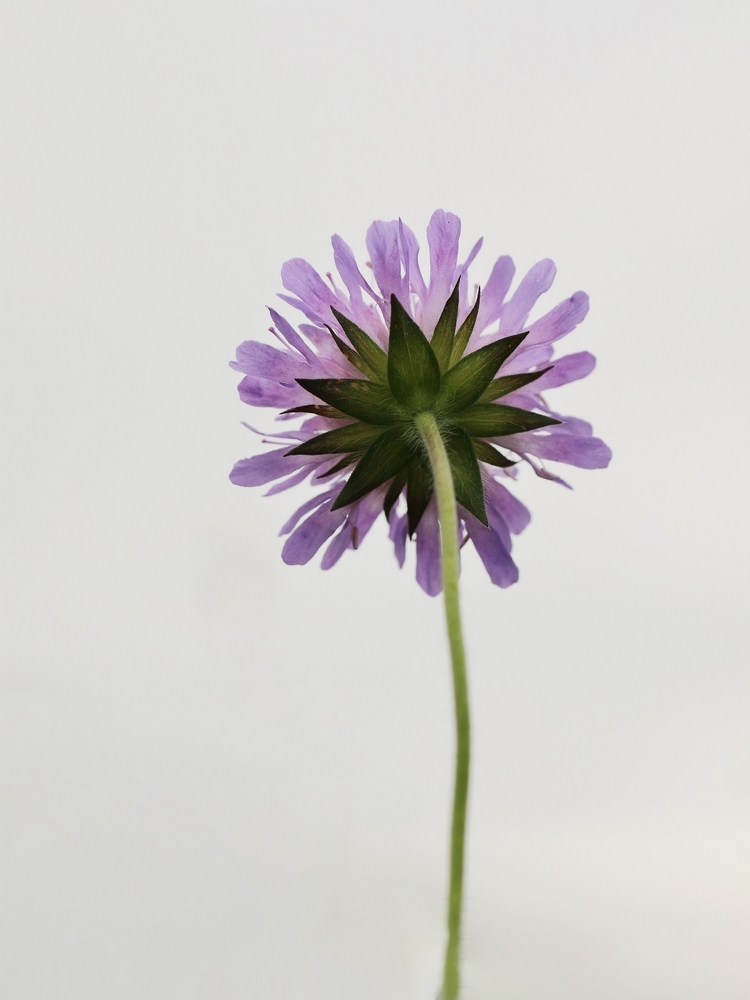 2G6A9640.JPG.01839d538b4e5aaf54933fcfe406e227.JPG
