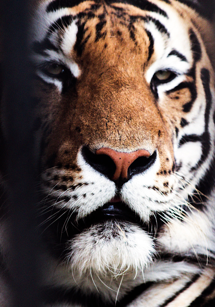 503E1294-573E-4B12-94EC-F73DDAC49A6A.jpeg.71912fc9e7eb1cca6c349d9dd831e5fe.jpeg