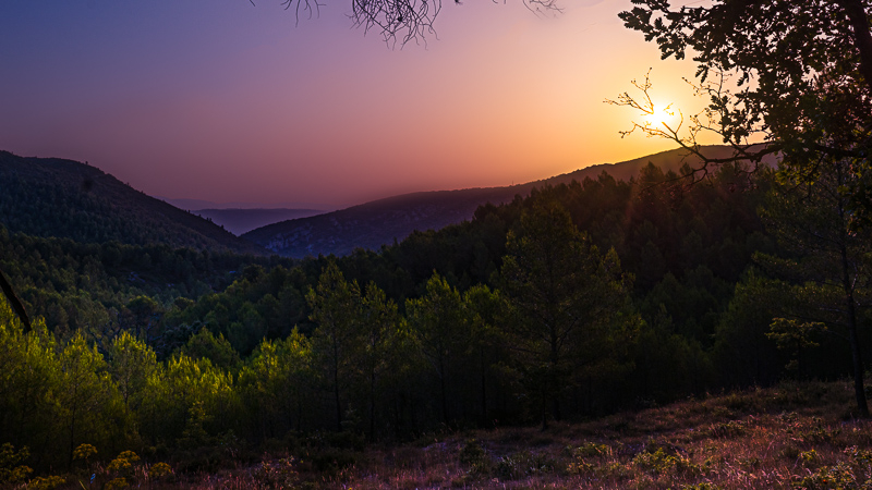DSC04886-Edit-Edit.jpg.0fb42adf9edc65ce72dacc69b497638b.jpg