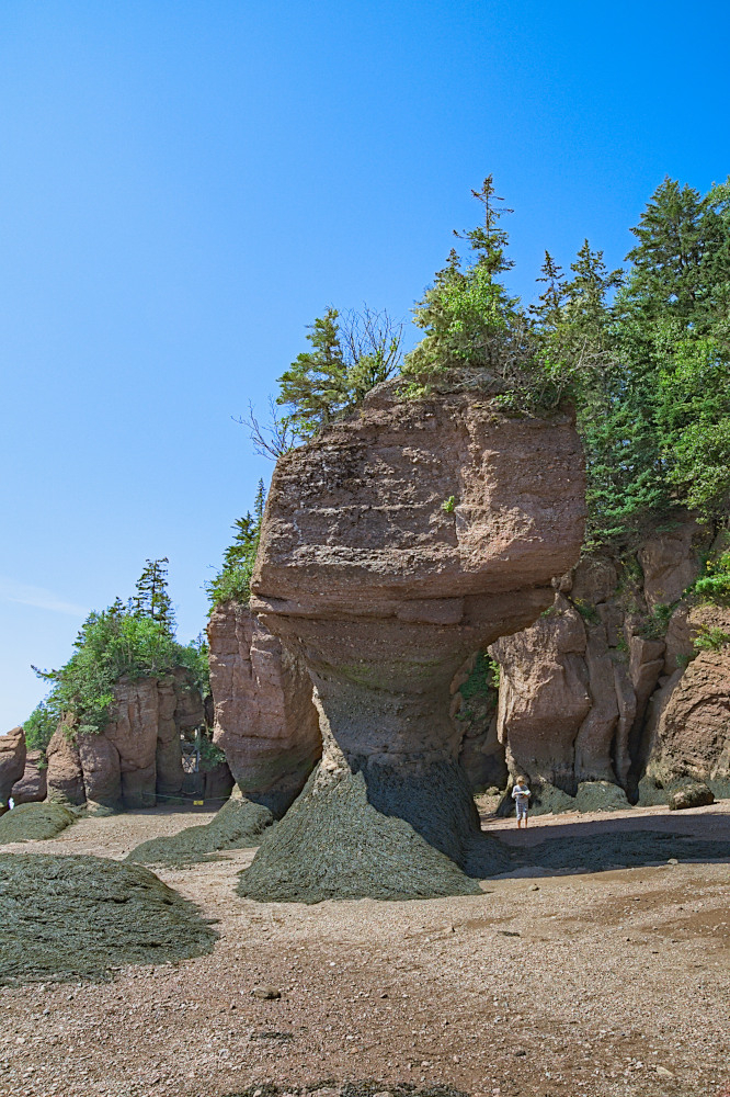 Hopewell Rocks - Photos de paysage et de nature - Forumdephotos.com