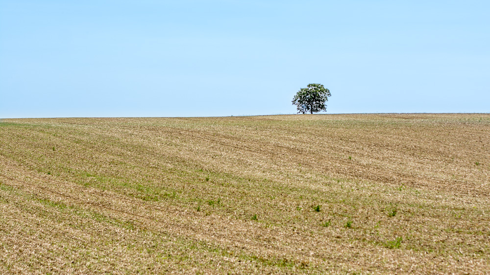 _-9.jpg.46fe738c7a7ddf7f1e6b03bf9059ef50.jpg