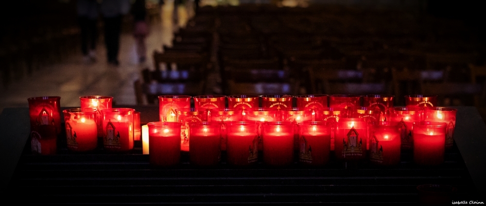 chartres-6fp.jpg