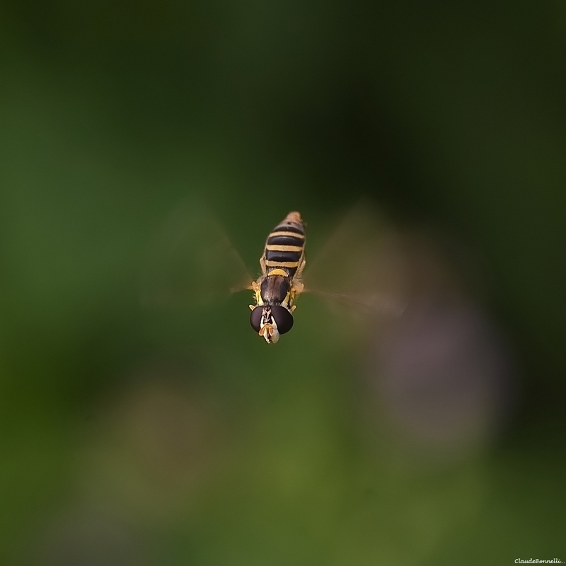 1-24_filtered.jpg.f9b31a825ad398629b875e932bd1d9d4.jpg