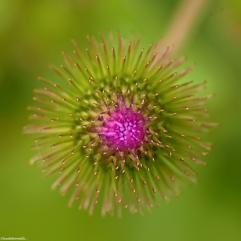 1-3009_filtered.jpg.8c50b759c4b3c9f2e26f4f2cb1303b0c.jpg