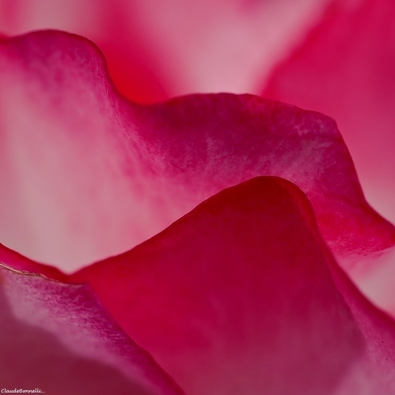 1-3632.jpg.e3fa6bb271037bd49f047520302ac692.jpg