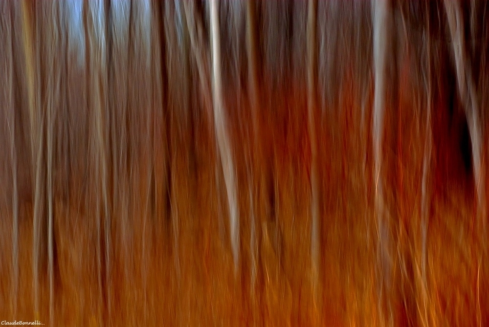 1-9678.jpg.0b098a3fa7830f4ad3e811f541b4a201.jpg