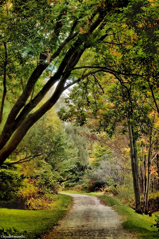 1194397041_sentier3152-1-1_filtered_1.jpg.500536c6dcc8e9d7dc7fc19bd544a0b7.jpg