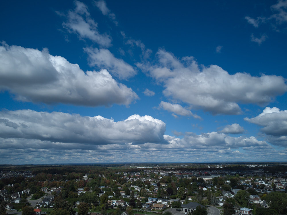 1557070876_DJI_00151.jpg.a8a068811ceb95bf41842a02793deee3.jpg