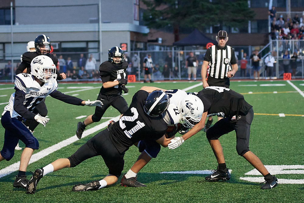 1686117938_DSC_28991.jpg.2090e10eff70833deb7f283c436cd56e.jpg