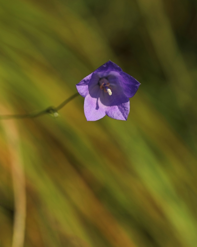 2G6A9688.JPG.623b461f53dce8ad949792ad171ff43c.JPG