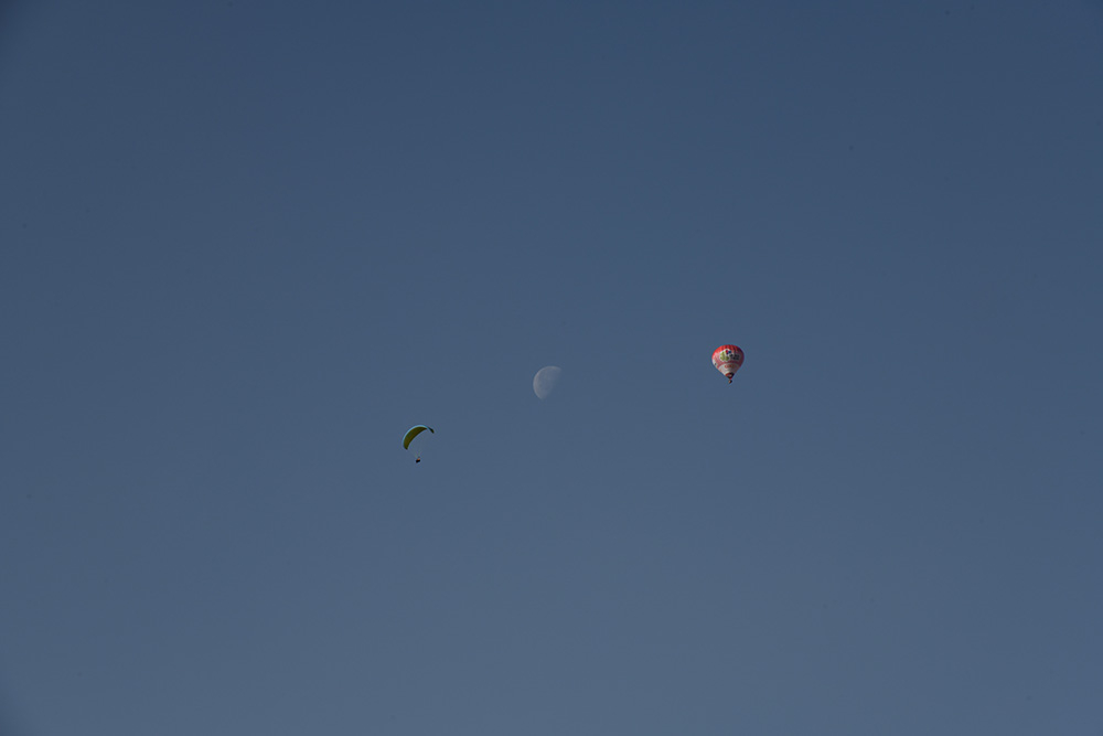 DSC_8820.2..jpg.139a74d035fed93a54bb77fa32d5fdfe.jpg