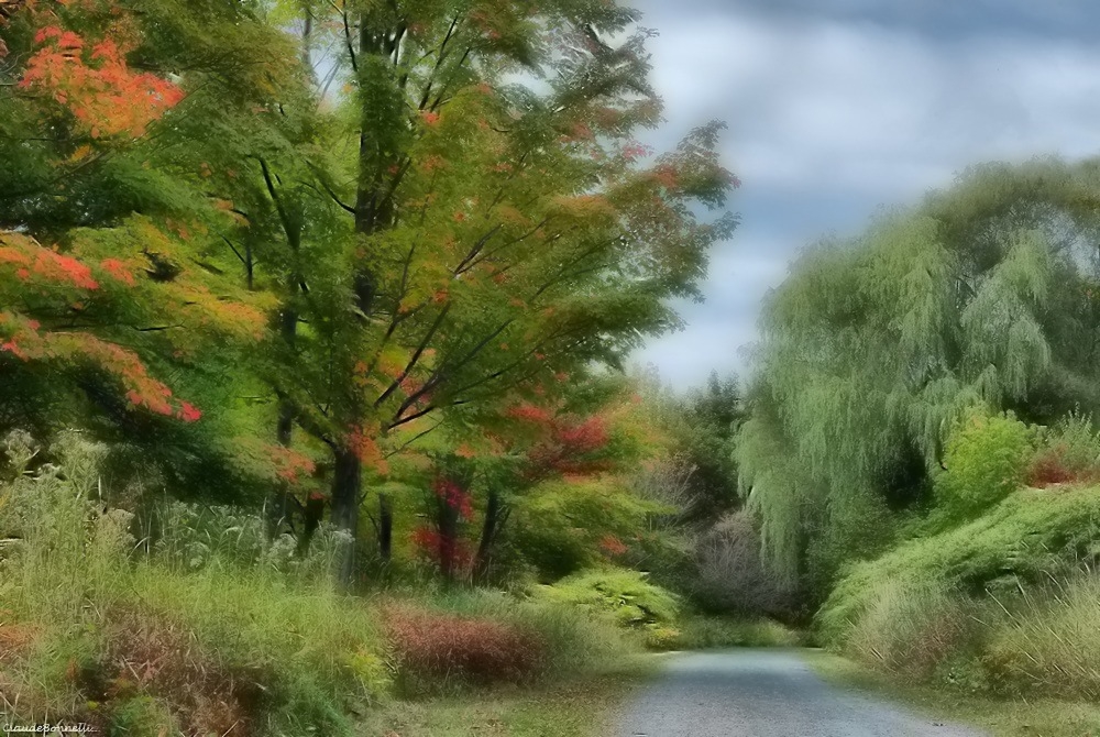 sentier-1_filtered.jpg.0cc4165d35d48c8c32928500dc305fc0.jpg