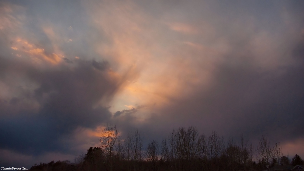 1-4855-1-1_filtered.jpg.f987f403d4ae8d6535d4d7409c0c3b1b.jpg