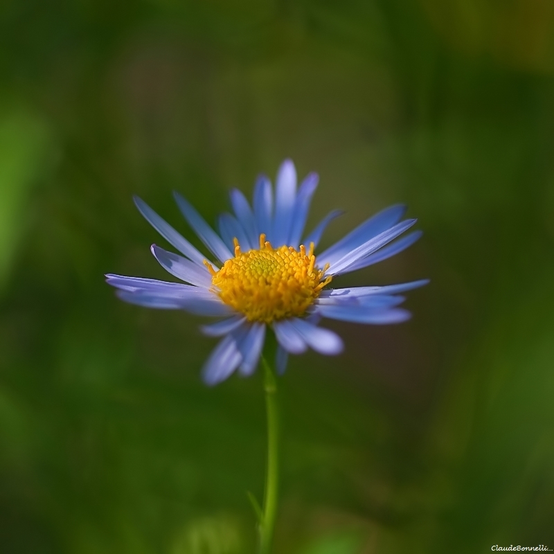 1-9776-2_filtered.jpg.78ffaaf67c9e5c25fd6021a26539c661.jpg