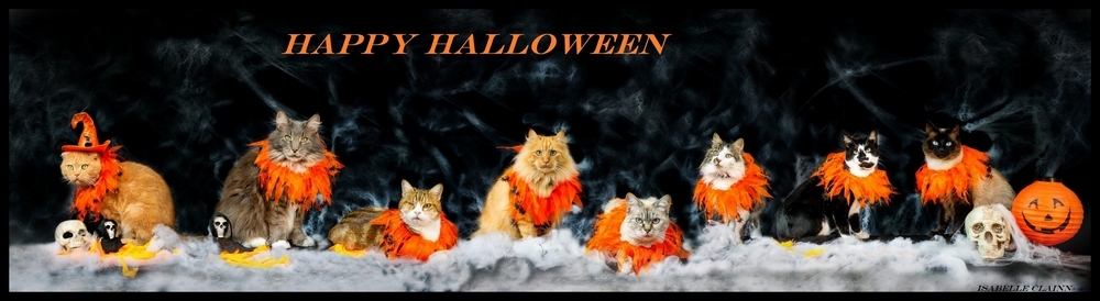 chalowween 14 - Copie - Copiefp.jpg