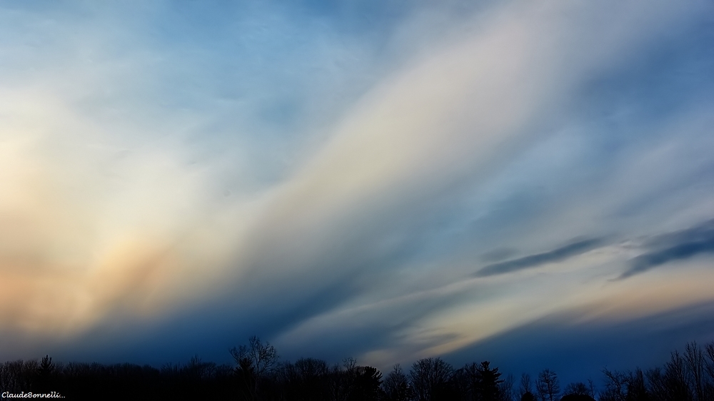 38--4245-1_filtered.jpg.b40140c7ca4e3e697ede30834aabaedd.jpg