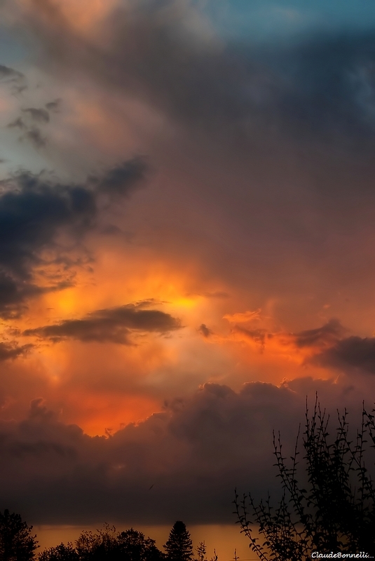 55-5307-1_filtered.jpg.c9e89bd138c6e723b1b87eb766cfbc5c.jpg